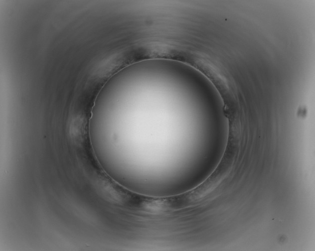 X0000096970079200802081302