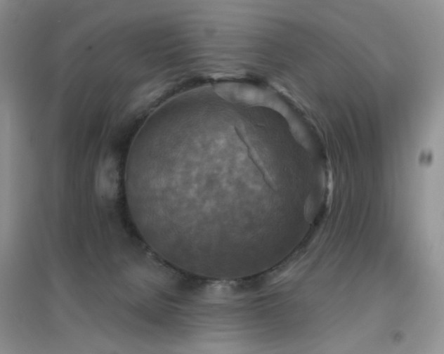 X0000096970080200802081302