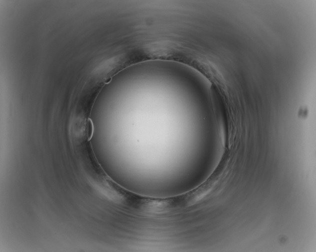 X0000096970081200802081302
