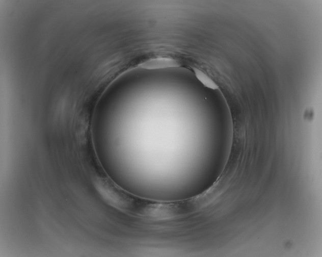 X0000096970082200802081302