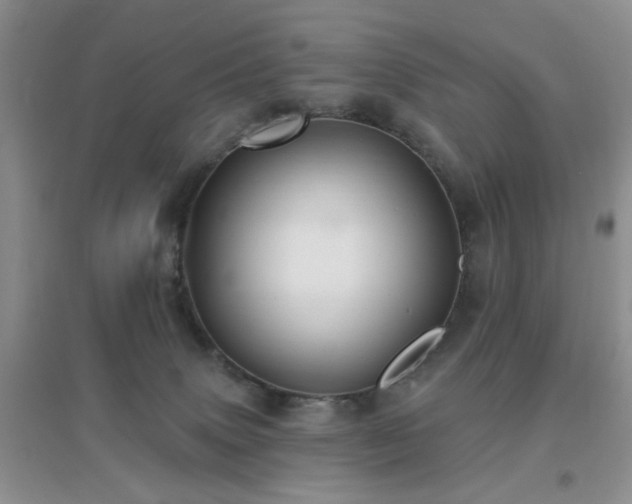 X0000096970083200802081302