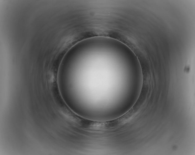 X0000096970084200802081302