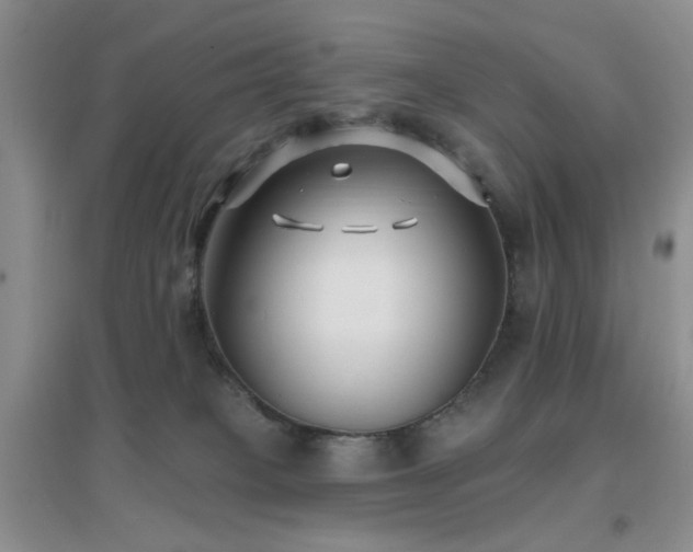 X0000096970085200802081302