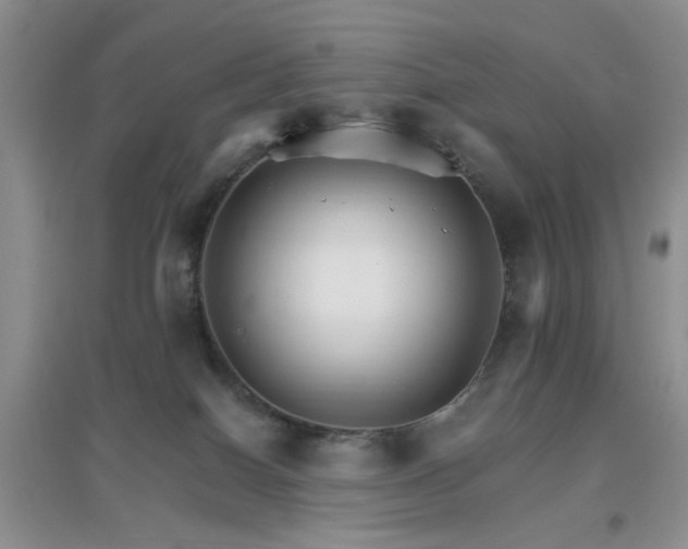 X0000096970086200802081302