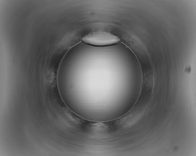X0000096970087200802081302