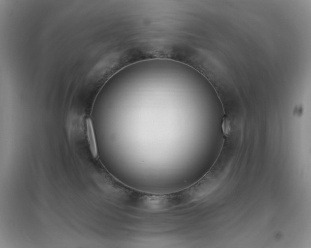 X0000096970088200802081302