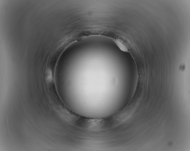 X0000096970089200802081302