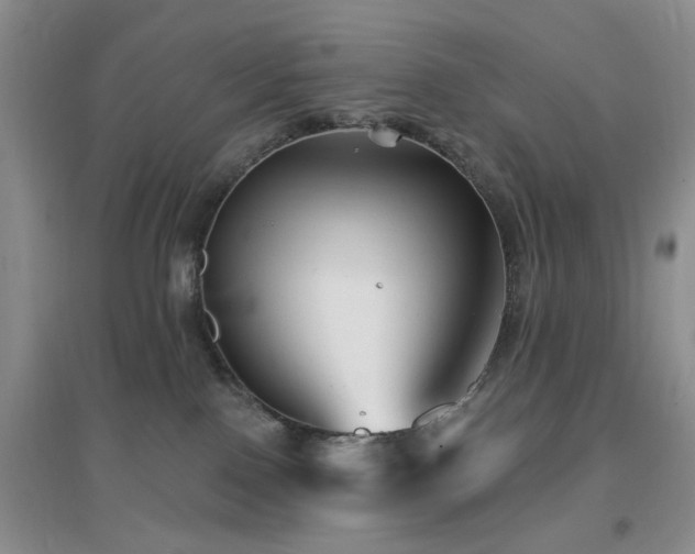 X0000096970090200802081302