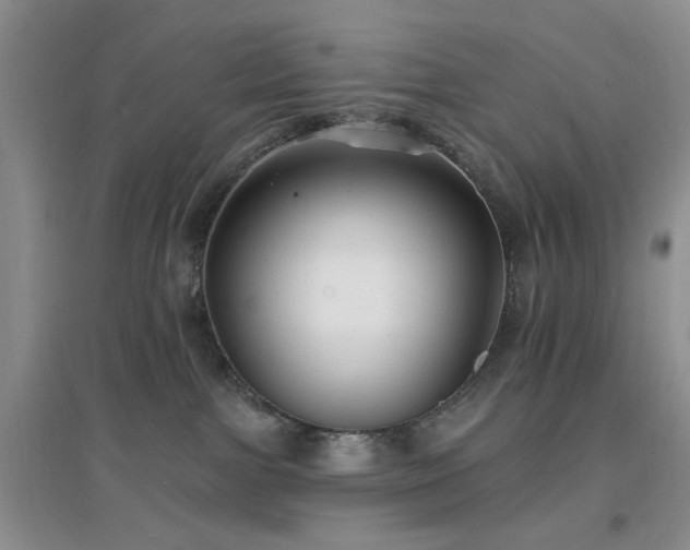 X0000096970091200802081302