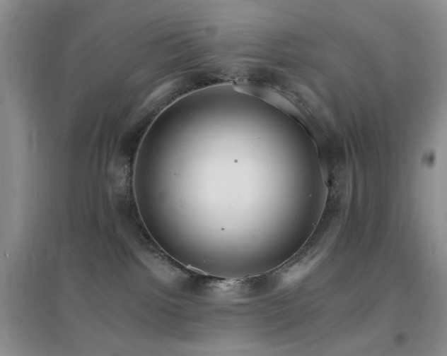 X0000096970092200802081302