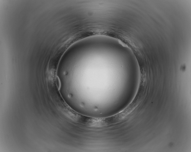X0000096970093200802081302