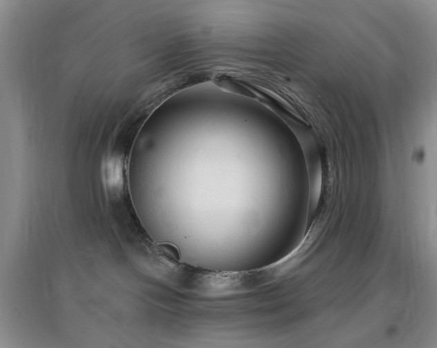 X0000096970094200802081302