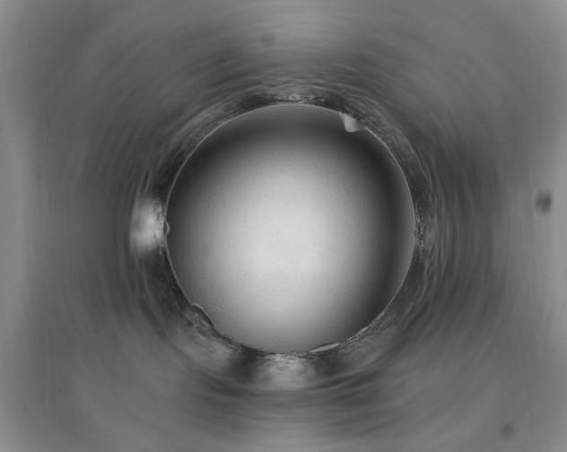 X0000096970095200802081302