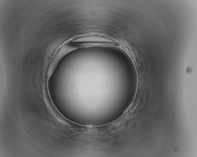 X0000096970097200802081301