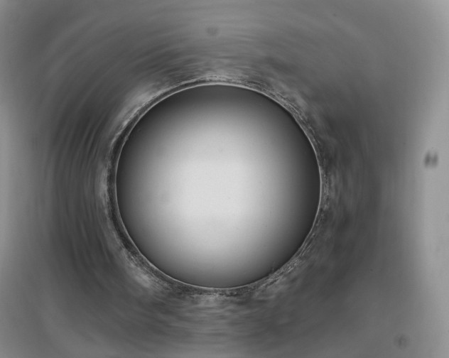 X0000096970098200802081301
