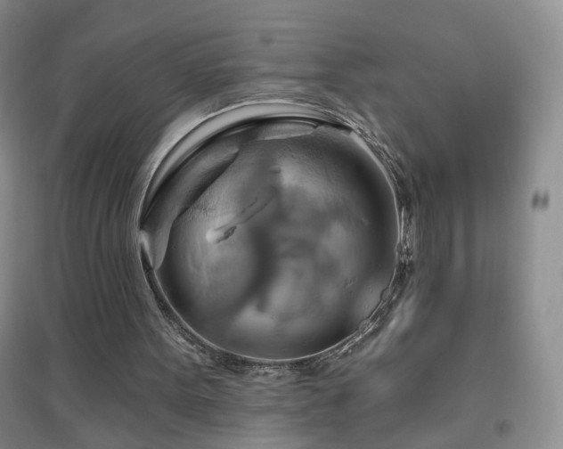 X0000096970099200802081301