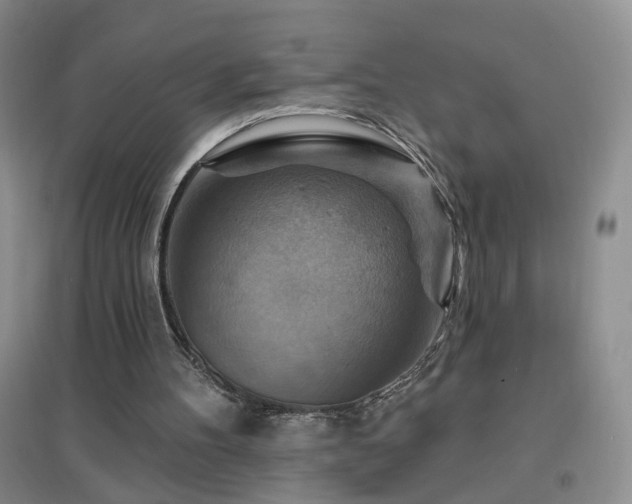X0000096970100200802081301