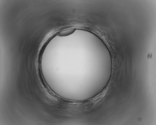 X0000096970102200802081301