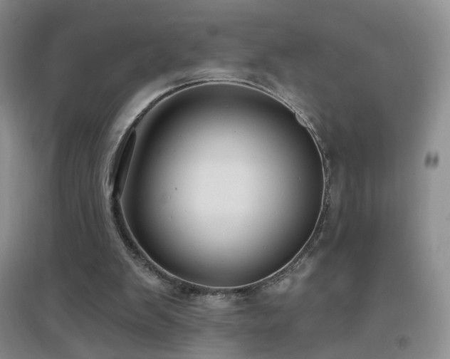 X0000096970103200802081301