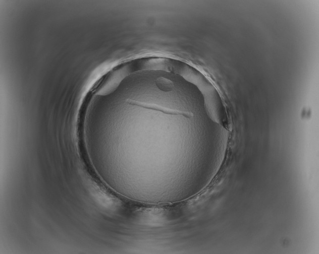 X0000096970104200802081301