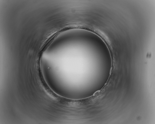 X0000096970105200802081301