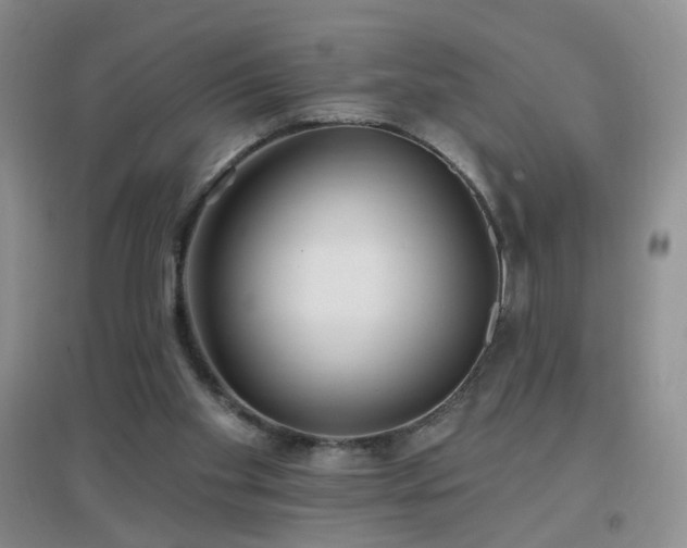 X0000096970109200802081301