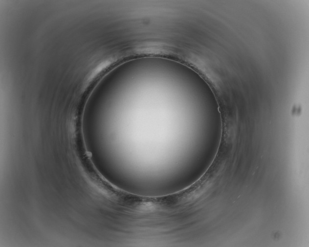 X0000096970111200802081301