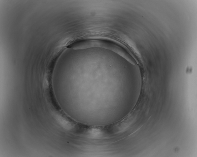 X0000096970114200802081301