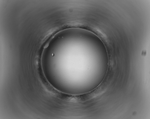 X0000096970115200802081301