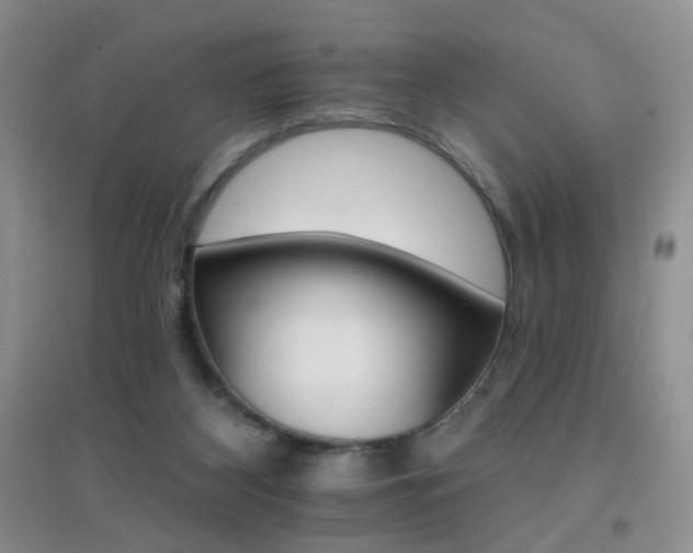 X0000096970116200802081301