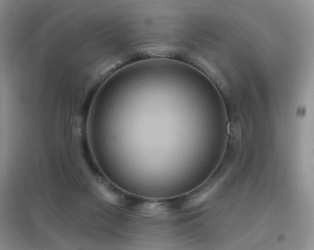 X0000096970117200802081301