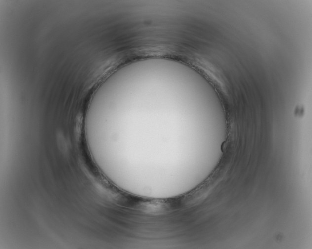 X0000096970118200802081301
