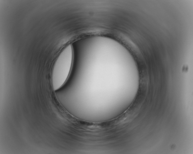 X0000096970119200802081301