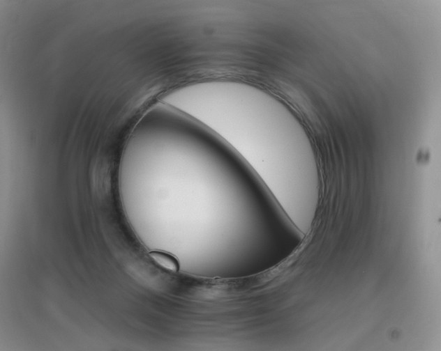 X0000096970120200802081301