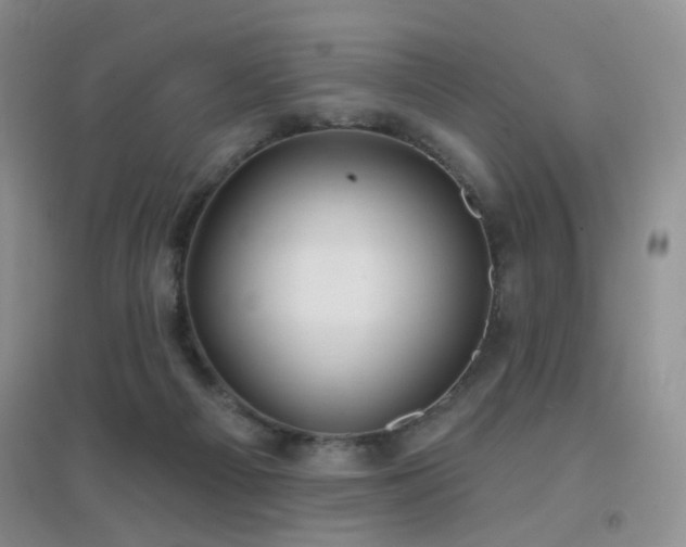 X0000096970121200802081301