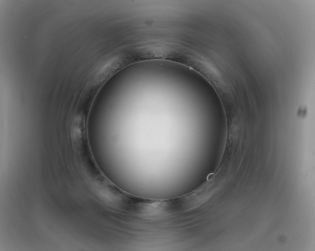 X0000096970122200802081301