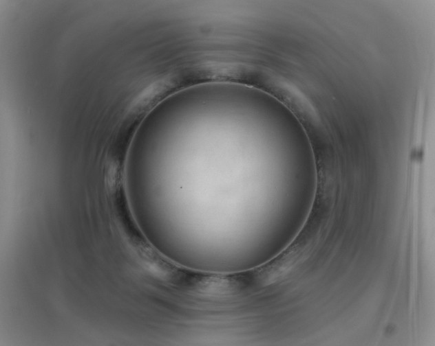 X0000096970123200802081301