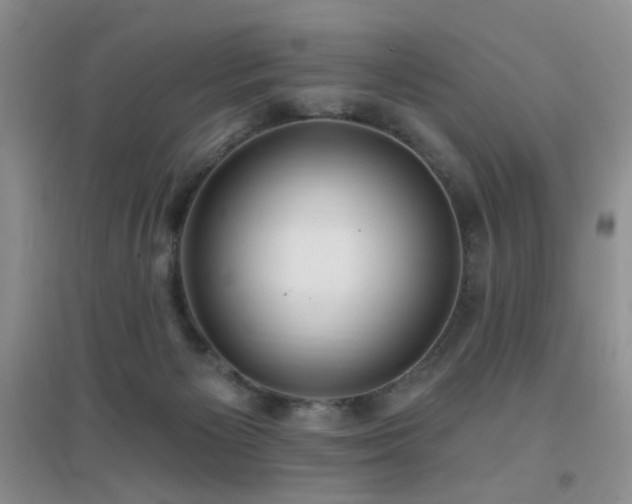 X0000096970125200802081301
