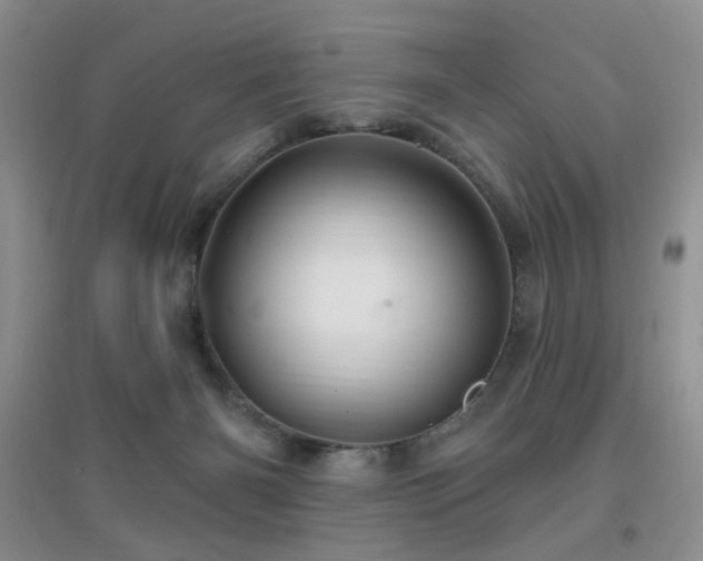 X0000096970126200802081301