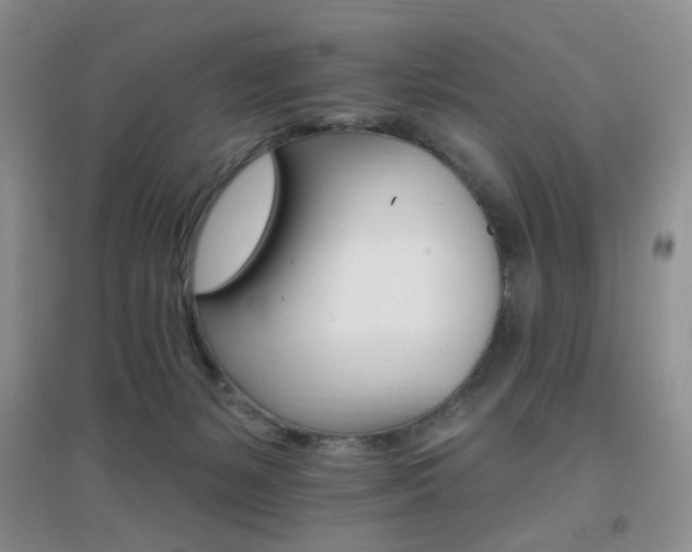 X0000096970127200802081301