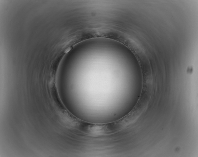 X0000096970129200802081301