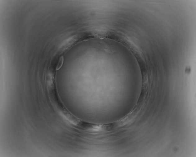 X0000096970130200802081301