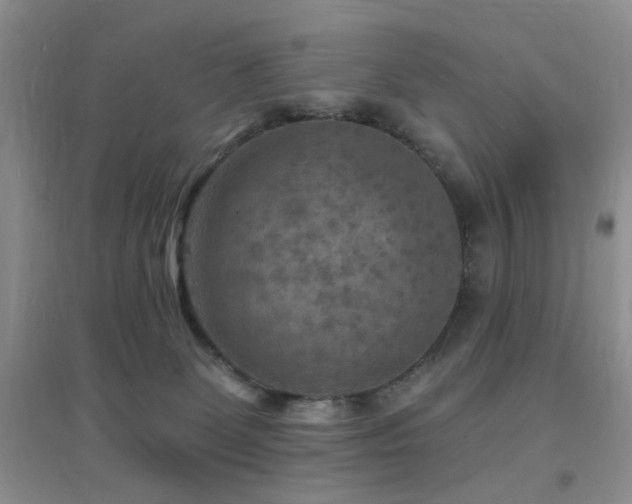 X0000096970131200802081301