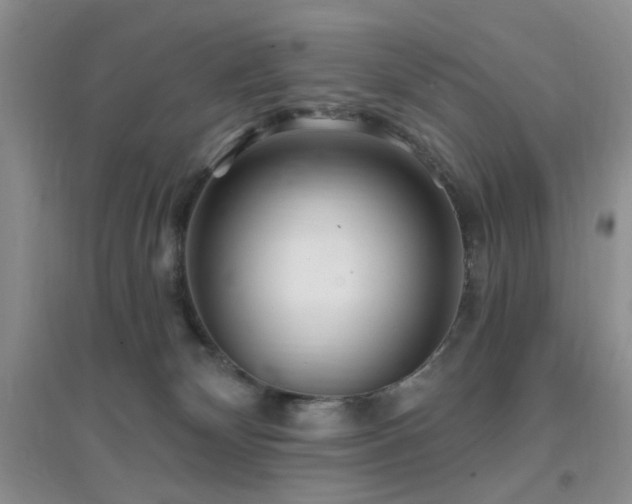 X0000096970132200802081301