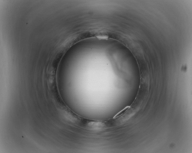 X0000096970133200802081301