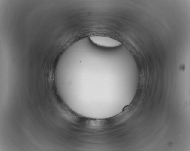 X0000096970134200802081301