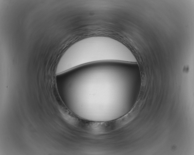 X0000096970136200802081301