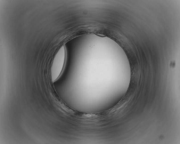 X0000096970137200802081301