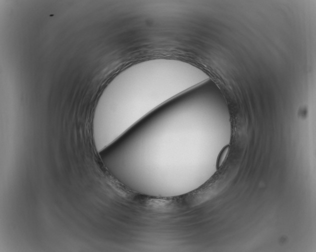 X0000096970139200802081301