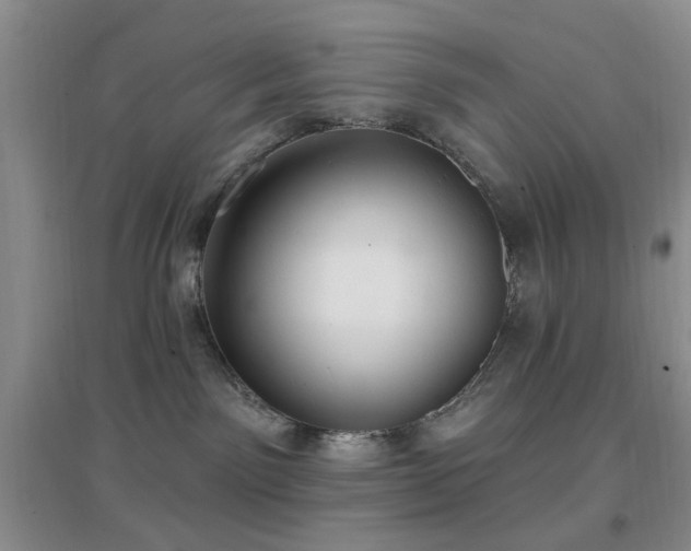 X0000096970141200802081301